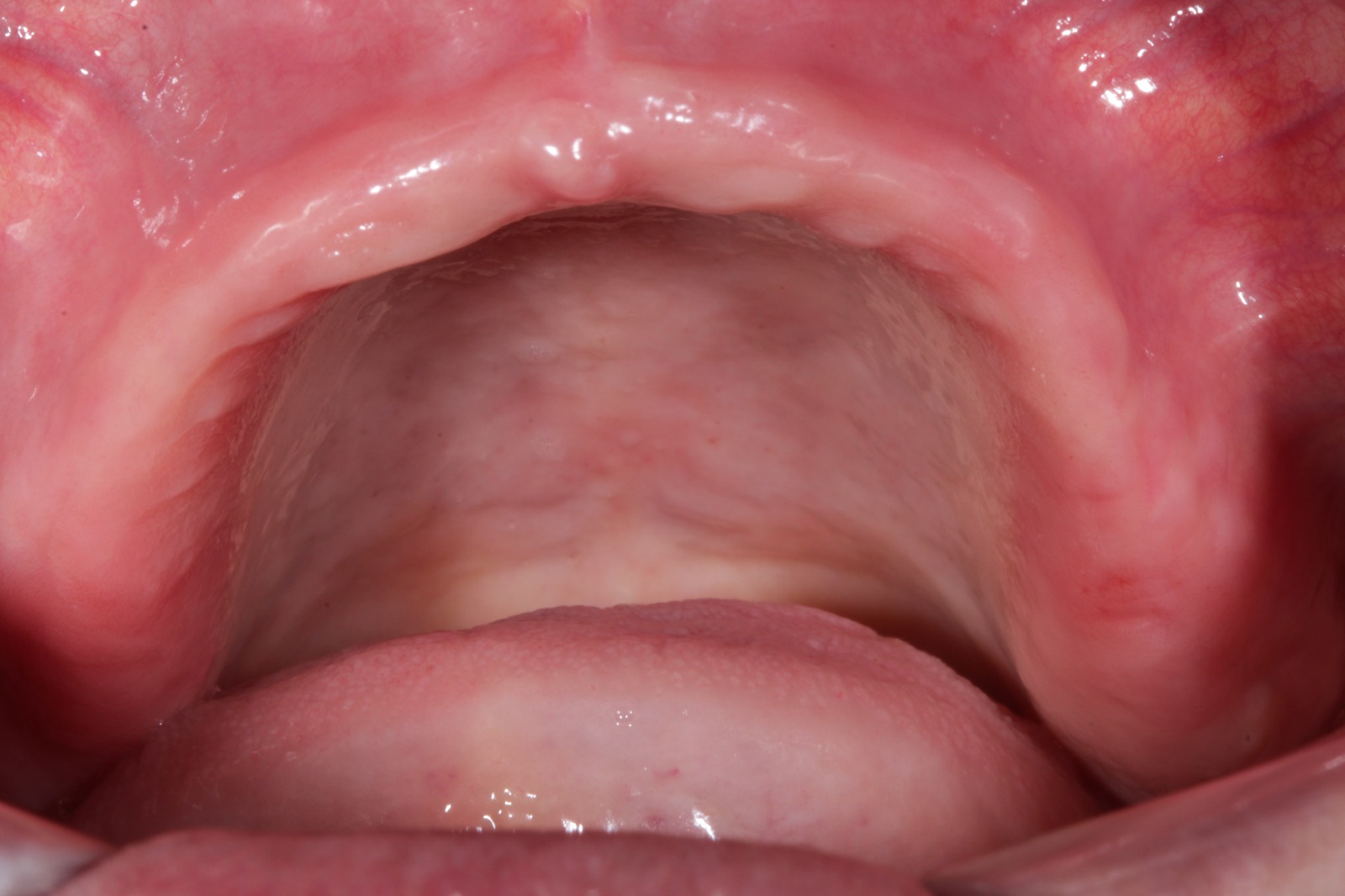 WhatsApp Image 2025-04-28 at 13.08.32 (1)